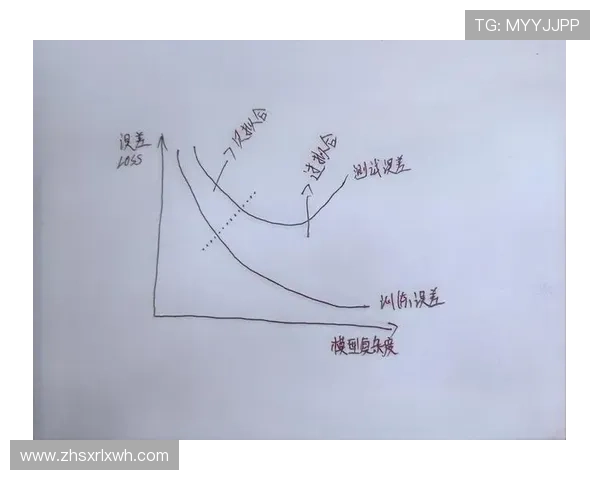 深入探讨上海排球队力量表现的数据分析与训练策略优化
